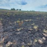 Intervencija požara otvorenog prostora